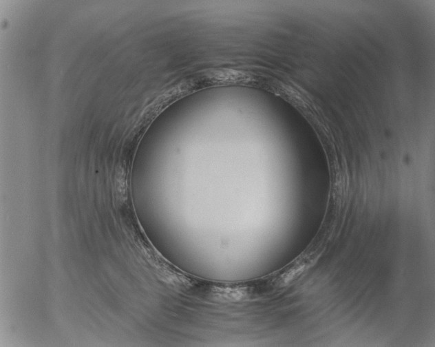 X0000053070469200508011945