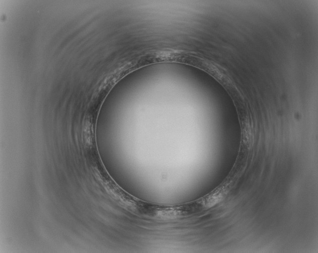 X0000053070470200508011945