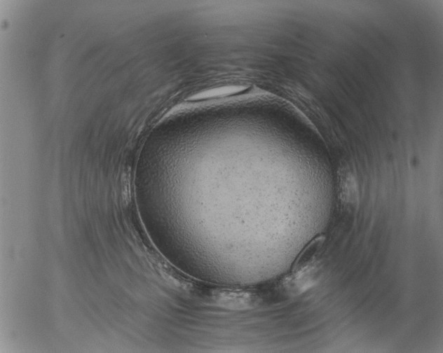 X0000053070471200508011945