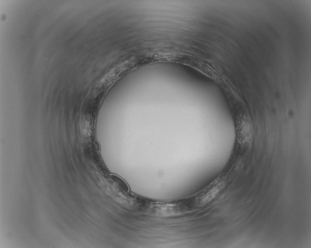 X0000053070472200508011945