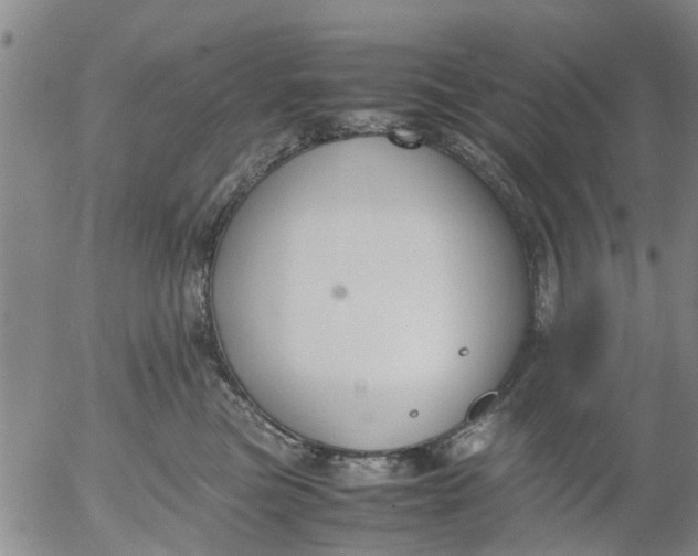 X0000053070473200508011945