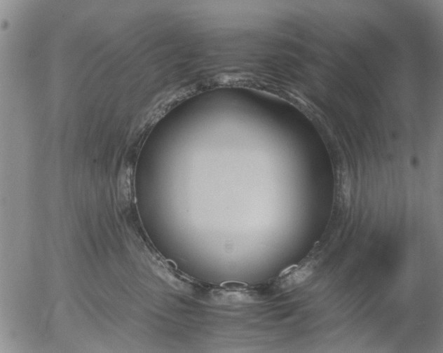 X0000053070475200508011945