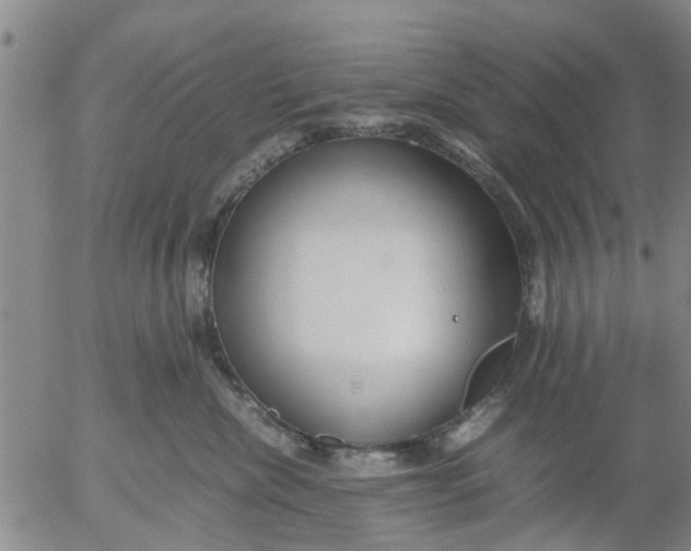 X0000053070476200508011945