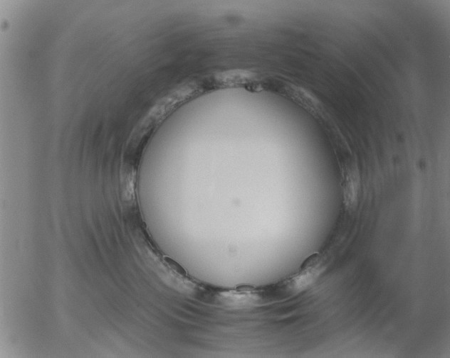 X0000053070477200508011945