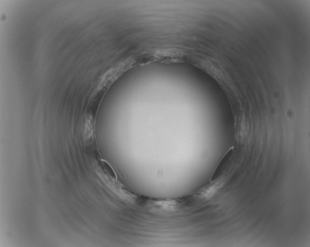 X0000053070478200508011945