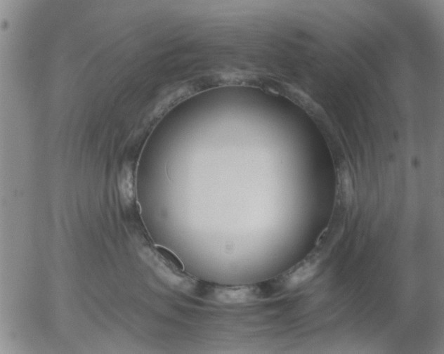 X0000053070479200508011945