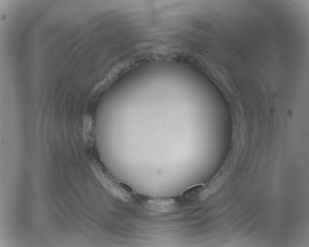 X0000053070480200508011945