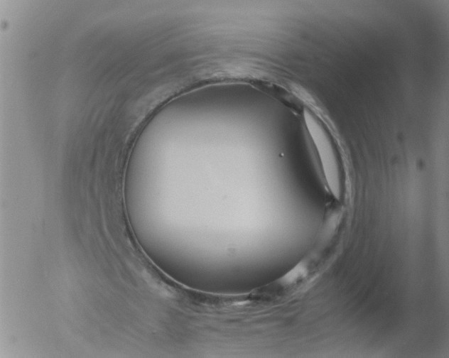 X0000053070481200508011944