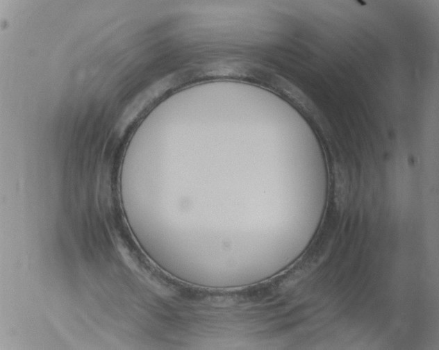 X0000053070482200508011944