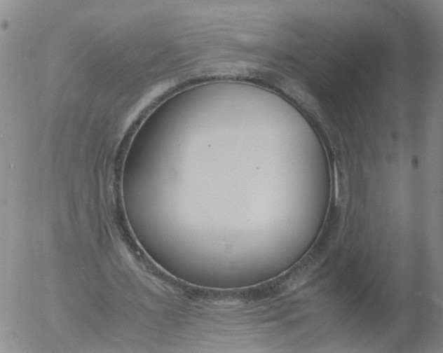 X0000053070483200508011944