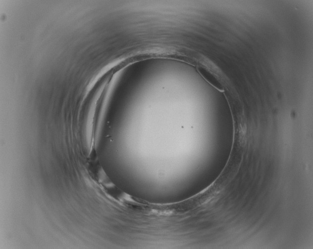 X0000053070484200508011944