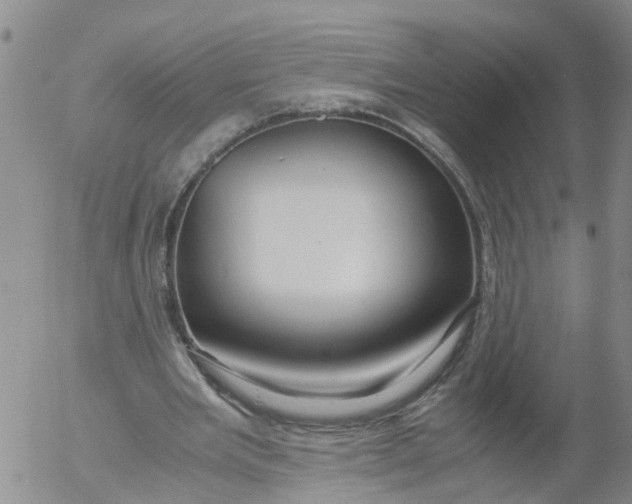 X0000053070485200508011944