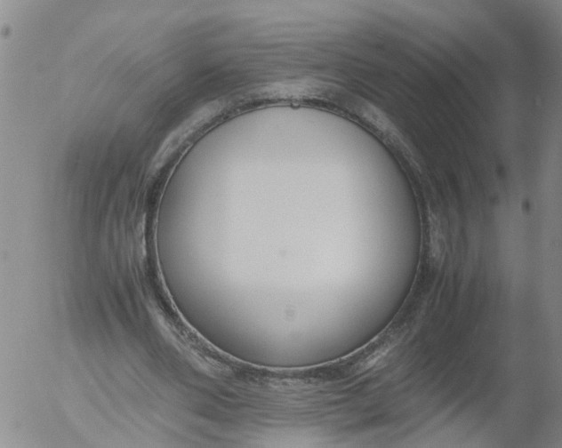 X0000053070486200508011944