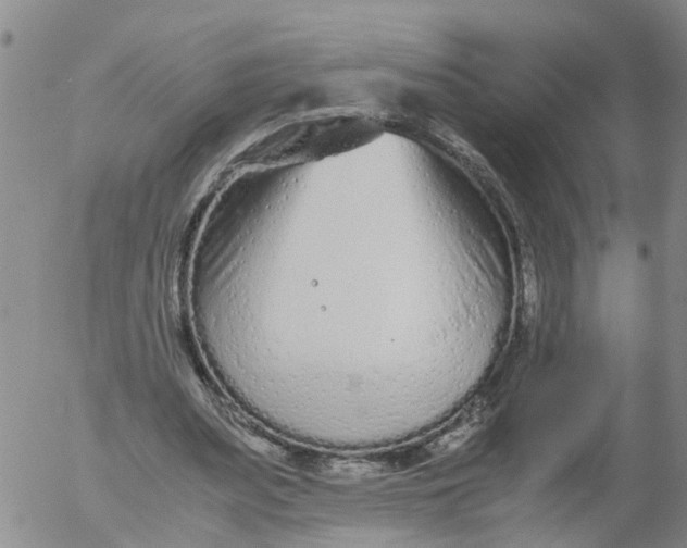 X0000053070487200508011944