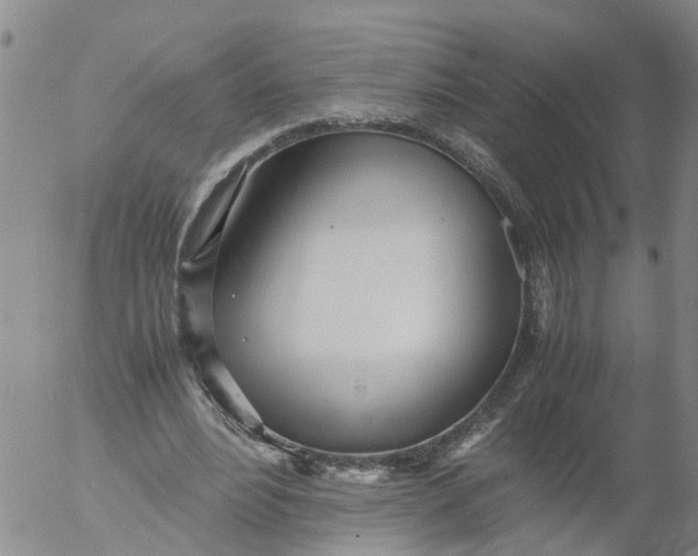 X0000053070488200508011944