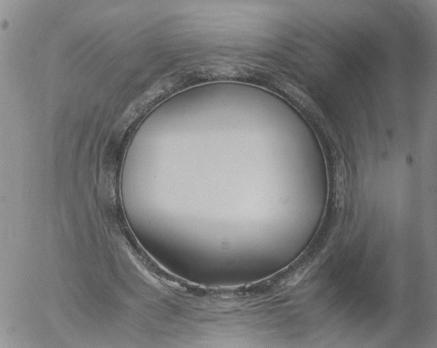 X0000053070489200508011944