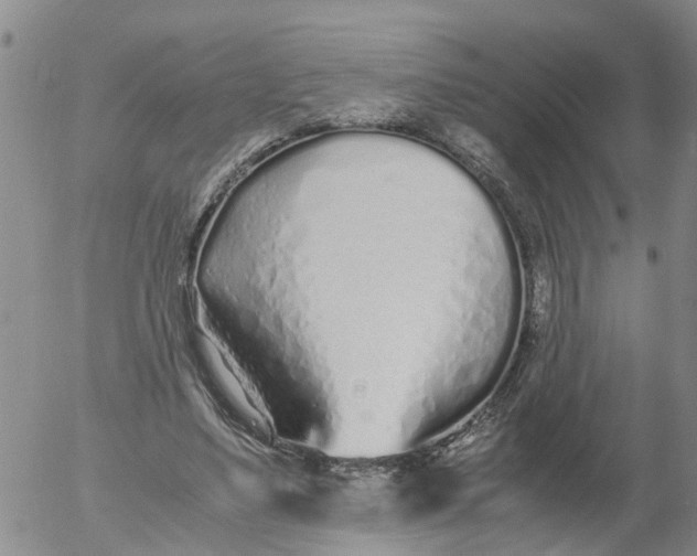 X0000053070491200508011944