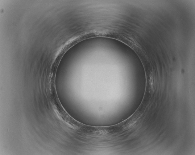 X0000053070492200508011944