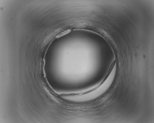 X0000053070493200508011944