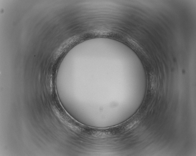 X0000053070494200508011944