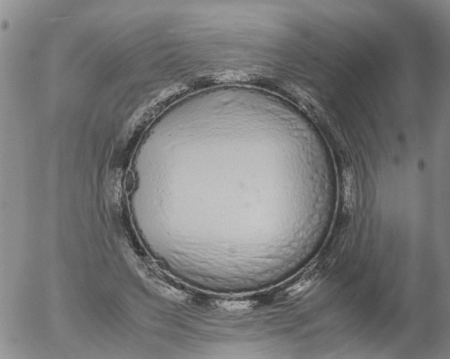 X0000053070495200508011944