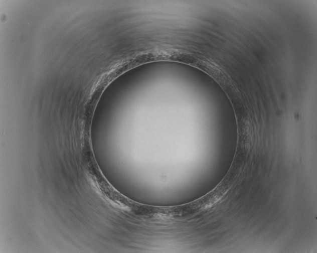 X0000053070496200508011944