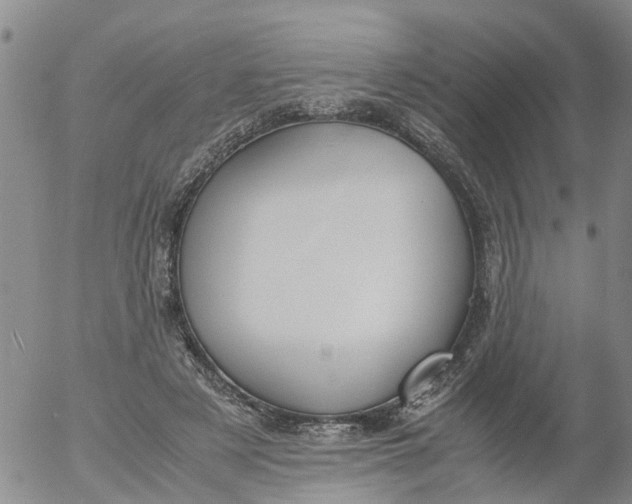 X0000053070497200508011944