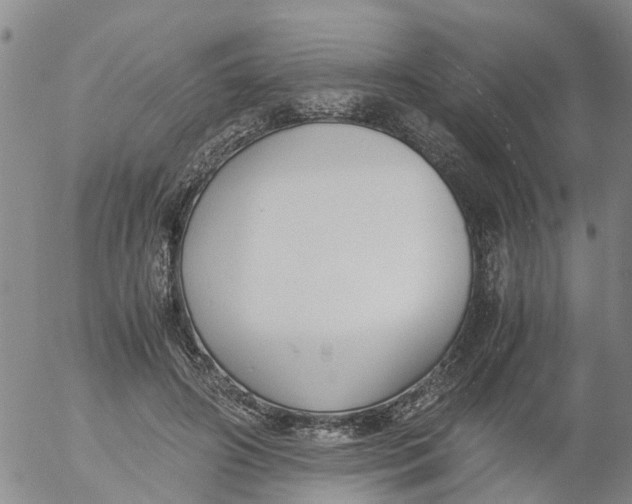 X0000053070498200508011944