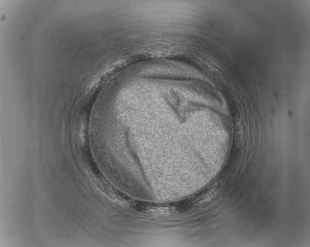 X0000053070499200508011944