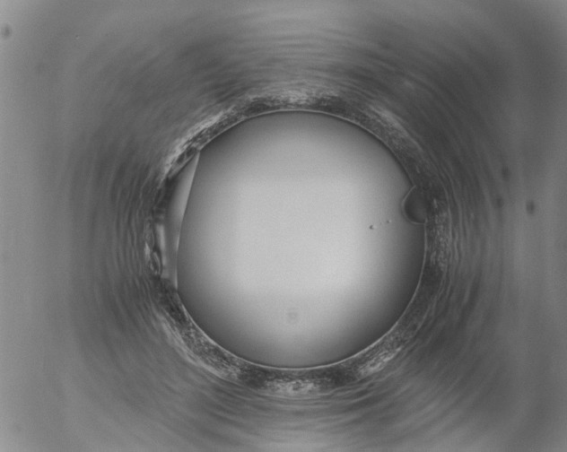 X0000053070500200508011944