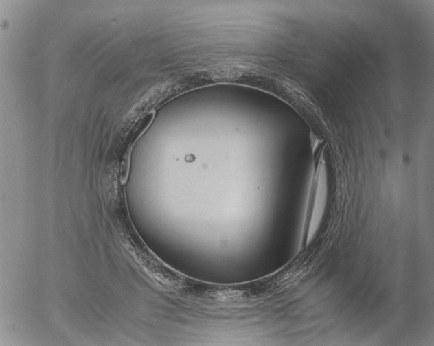 X0000053070501200508011944