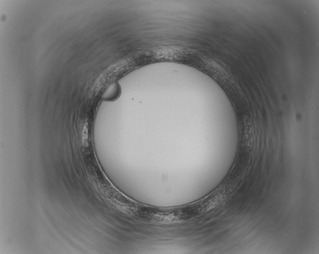 X0000053070502200508011944