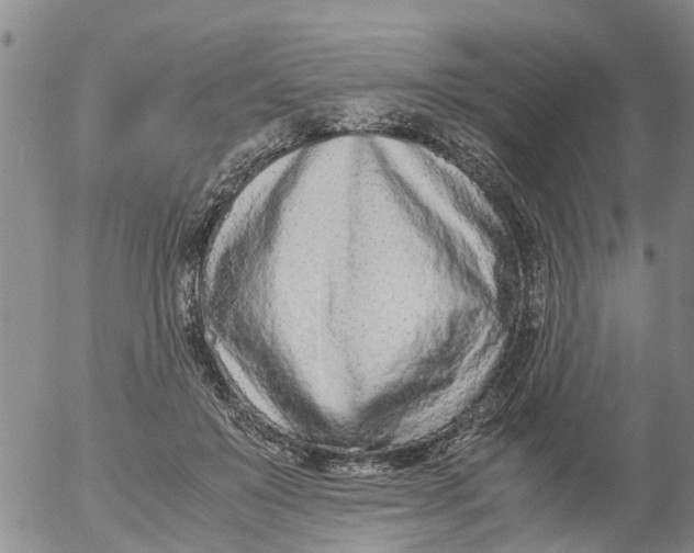 X0000053070503200508011944