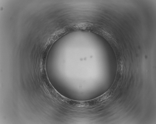 X0000053070504200508011944