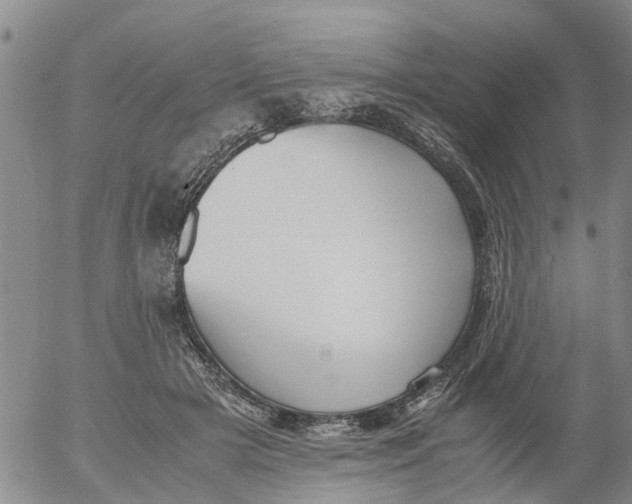 X0000053070505200508011943