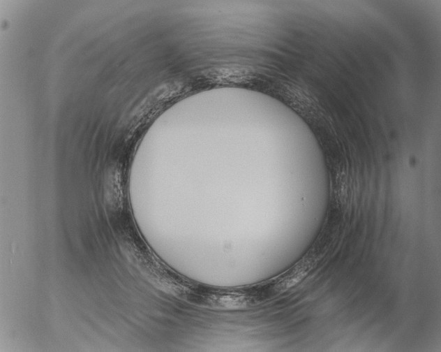 X0000053070506200508011943