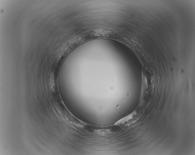 X0000053070508200508011943