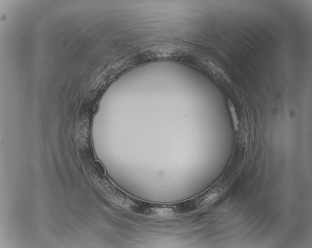 X0000053070509200508011943