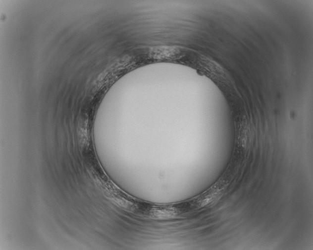 X0000053070510200508011943