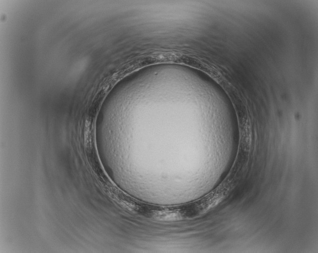 X0000053070511200508011943