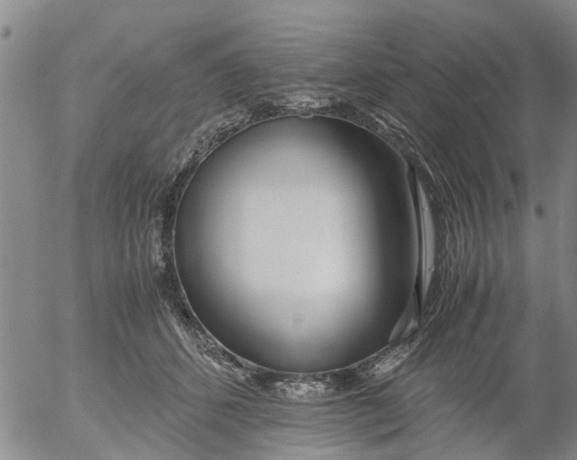 X0000053070512200508011943