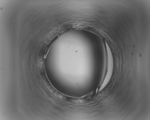 X0000053070513200508011943