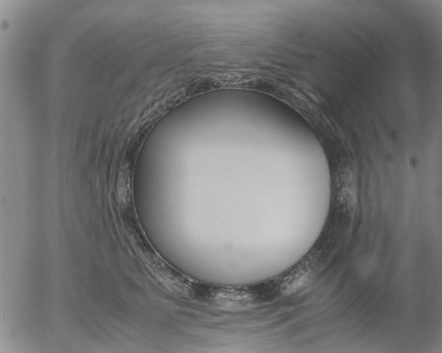 X0000053070515200508011943