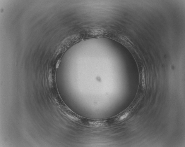 X0000053070516200508011943