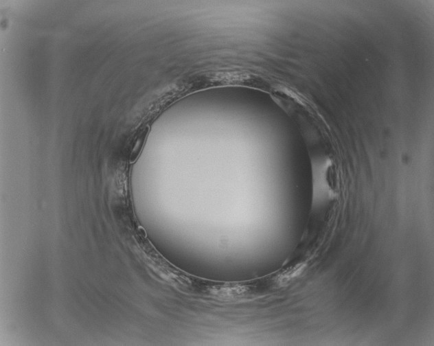 X0000053070517200508011943