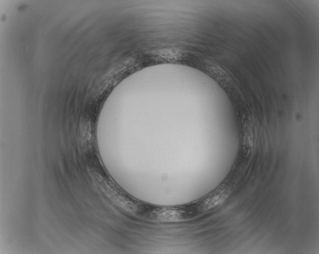 X0000053070518200508011943