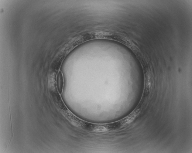 X0000053070519200508011943