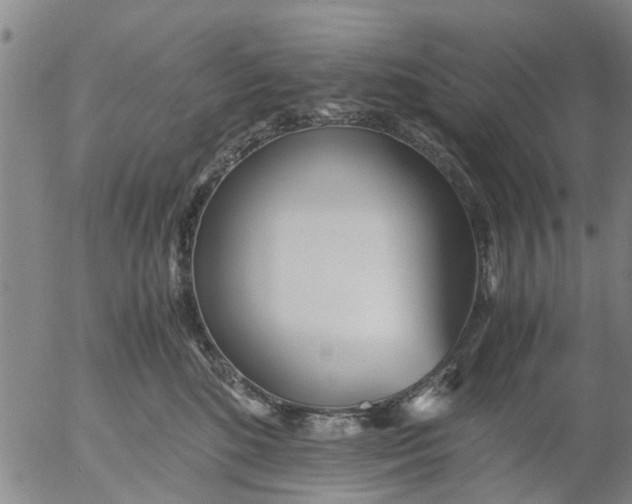 X0000053070520200508011943