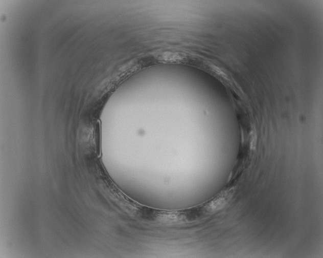 X0000053070521200508011943