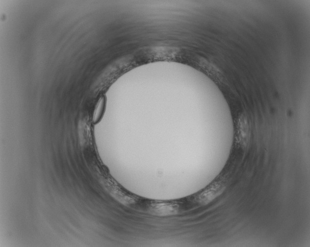 X0000053070522200508011943